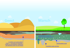 Schematische Darstellung der Bodenbeschaffenheit in den Bauabschnitten der Küstenautobahn