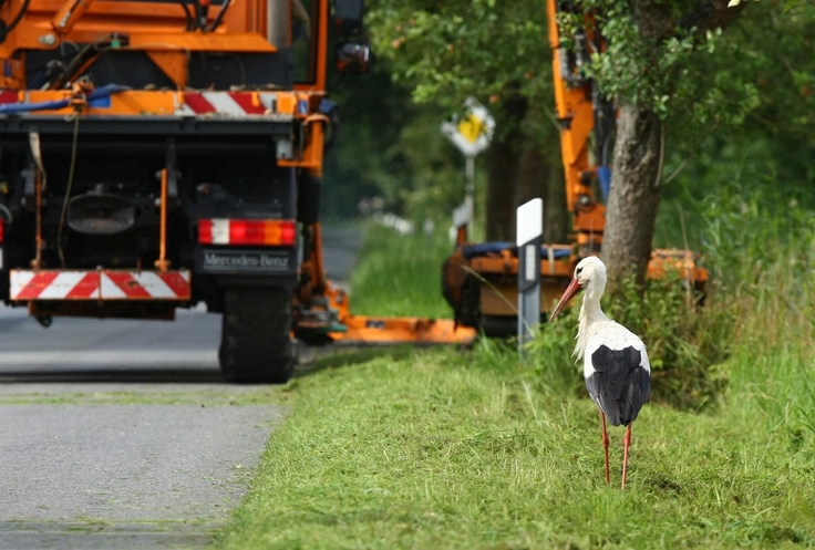 Foto: Thomas Erler, Neetze