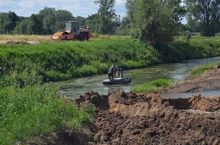 Bei der Elektrobefischung der Westaue konnten 506 Fische verteilt auf 16 Arten gefangen und umgesetzt werden