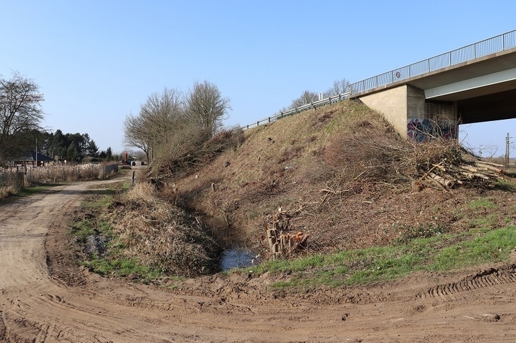 Die Baumfällarbeiten im Bereich des Baufelds konnten bereits abgeschlossen werden.